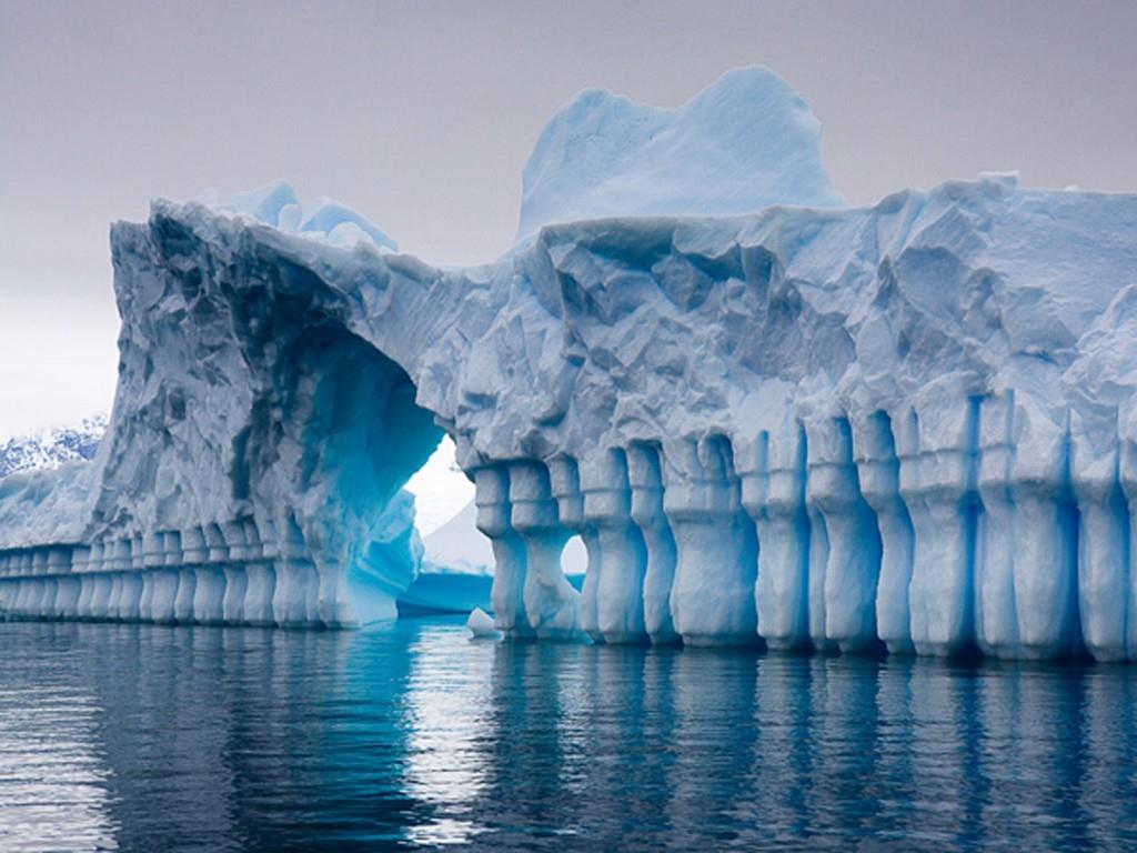 Ανταρκτική: Zωή κάτω από ένα χιλιόμετρο πάγων- Εντοπίστηκαν διατηρημένα κουφάρια μικροσκοπικών ζώων σε υπόγεια λίμνη