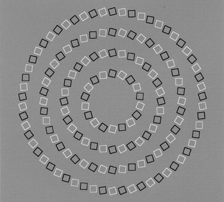 Αυτή η οφθαλμαπάτη θα σας τρελάνει: Πόσους κύκλους νομίζετε ότι βλέπετε; (φωτο)