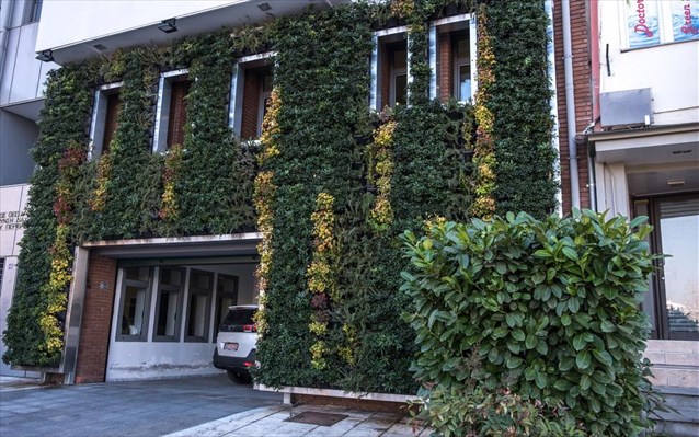Ο πρώτος κάθετος κήπος σε δημόσιο κτήριο στην Ελλάδα- Δείτε σε ποιά περιοχή