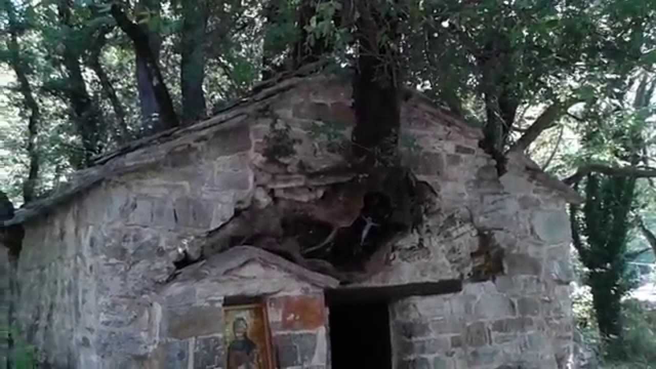 Το ανεξήγητο φαινόμενο με τα δένδρα στη σκεπή της Αγίας Θεοδώρας (βίντεο)