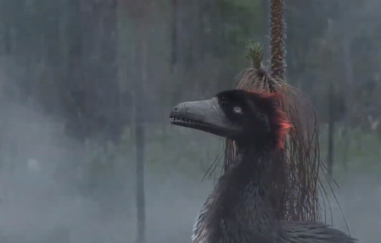 Λύθηκε το μυστήριο του φτερωτού «δαίμονα» Αγχιόρνις (βίντεο)