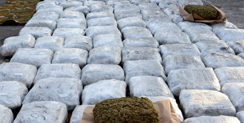 4 δισ δολάρια η αξία των ναρκωτικών που παράγονται στην Αλβανία