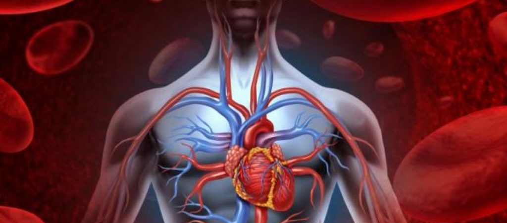 To «μαγικό» γιατροσόφι από τα παλιά: Ενισχύει ανοσοποιητικό, αποφράσσει αρτηρίες, αποτοξινώνει συκώτι και νεφρά