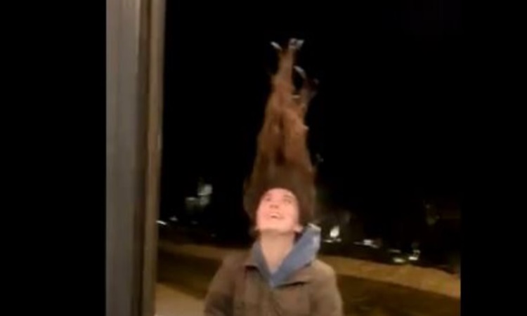 Tα βρεγμένα μαλλιά μιας κοπέλα έγιναν σαν «τάρανδος» από το… ψοφόκρυο στις ΗΠΑ! (βίντεο)