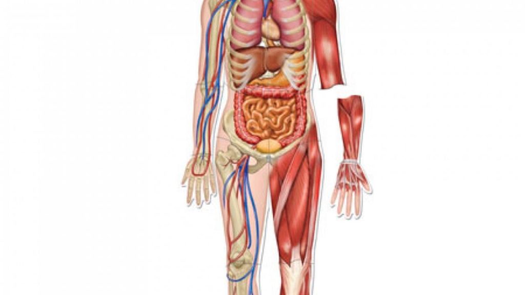 Αγγειίτιδα: Τα «αθώα» συμπτώματα από σοβαρό πρόβλημα στα αγγεία