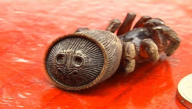 Νόμιζε ότι βρήκε ένα αρχαίο κειμήλιο αλλά κατατρόμαξε όταν έμαθε τι ήταν πραγματικά (βίντεο)