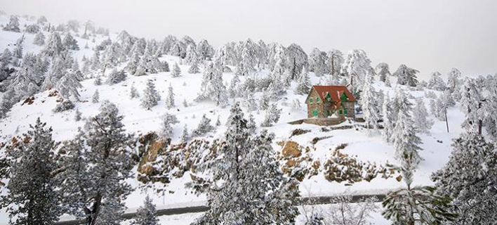 Aίσιο τέλος για τους προσκόπους στην Κύπρο – Εντοπίστηκαν και είναι καλά στην υγεία τους