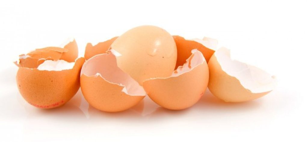 Πετάτε τα τσόφλια από τα αυγά; Κάνετε λάθος!