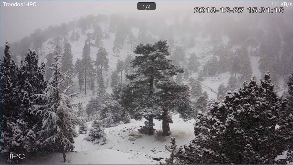 Κύπρος -Διάσωση Προσκόπων στο Τρόοδος:Καρέ-καρέ το χρονικό του ολονύχτιου θρίλερ (vid)