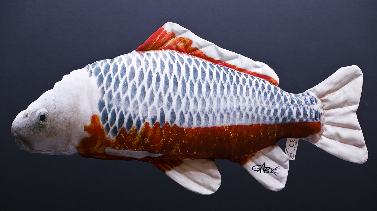 Αυτό είναι το ψάρι που πουλήθηκε για 1,5 εκατ. ευρώ (βίντεο)