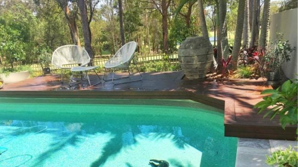 Κοάλα πνίγηκε σε πισίνα για να γλιτώσει από τον καύσωνα! (φώτο)