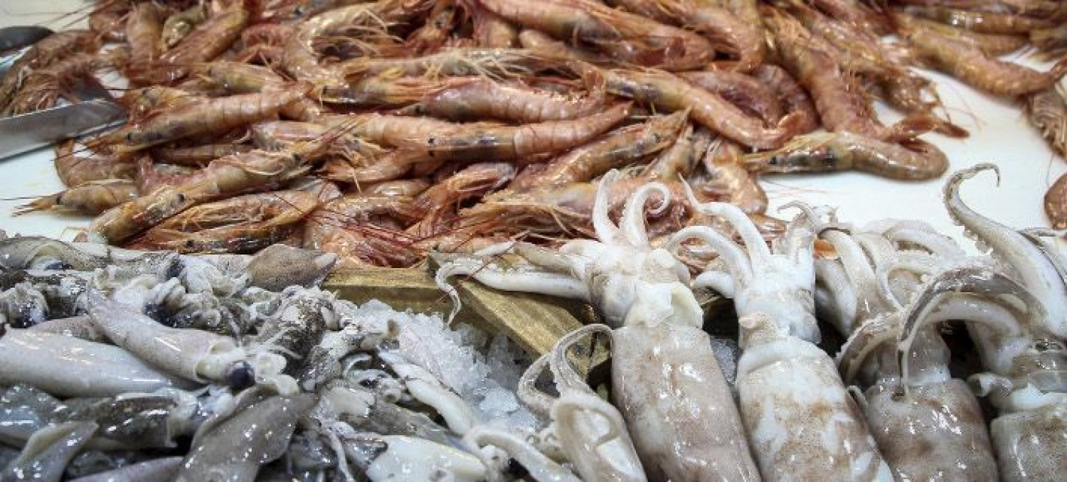 Συναγερμός για 120 κιλά θαλασσινά στον Πειραιά! Μαζικές κατασχέσεις σε ιχθυοπωπολείο