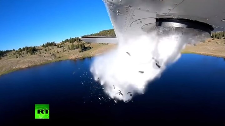 Εριξε έναν κουβά νερό σε μια «άγνωστη» λίμνη – Δείτε τι θα συμβεί (βίντεο)