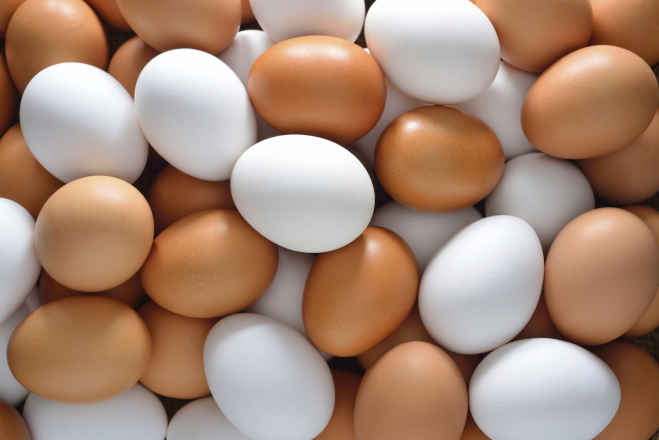 Γιατί κάποια αυγά είναι καφέ και άλλα άσπρα;