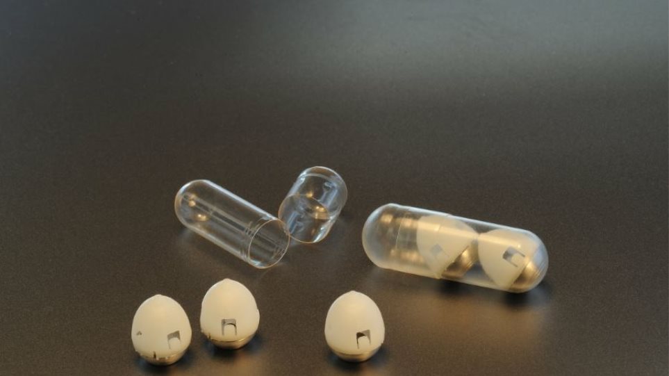 Μεγάλη ανακάλυψη: Χάπι ινσουλίνης με μικροβελόνα για να σωθούν οι διαβητικοί από τις ενέσεις! (βίντεο)