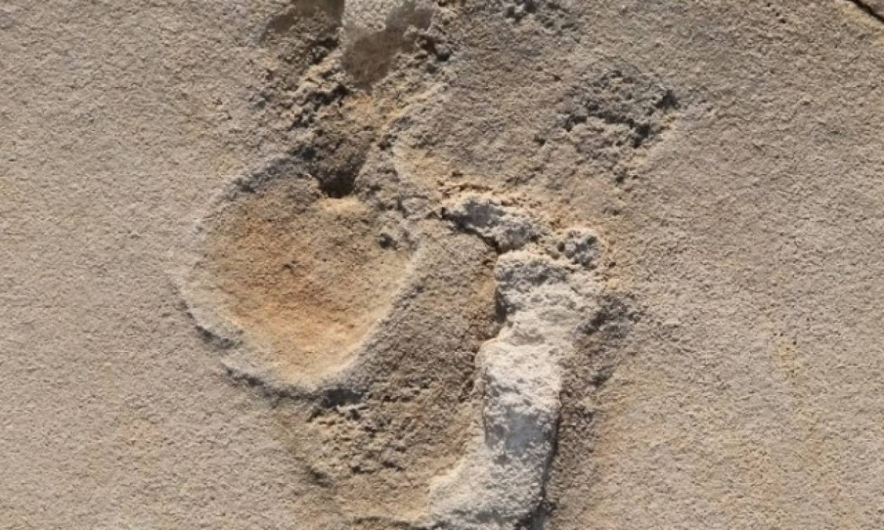 Επιστημονική ομάδα ανακοίνωσε ότι ανακάλυψε απολιθώματα με τα αρχαιότερα ίχνη κινητικότητας στη Γη