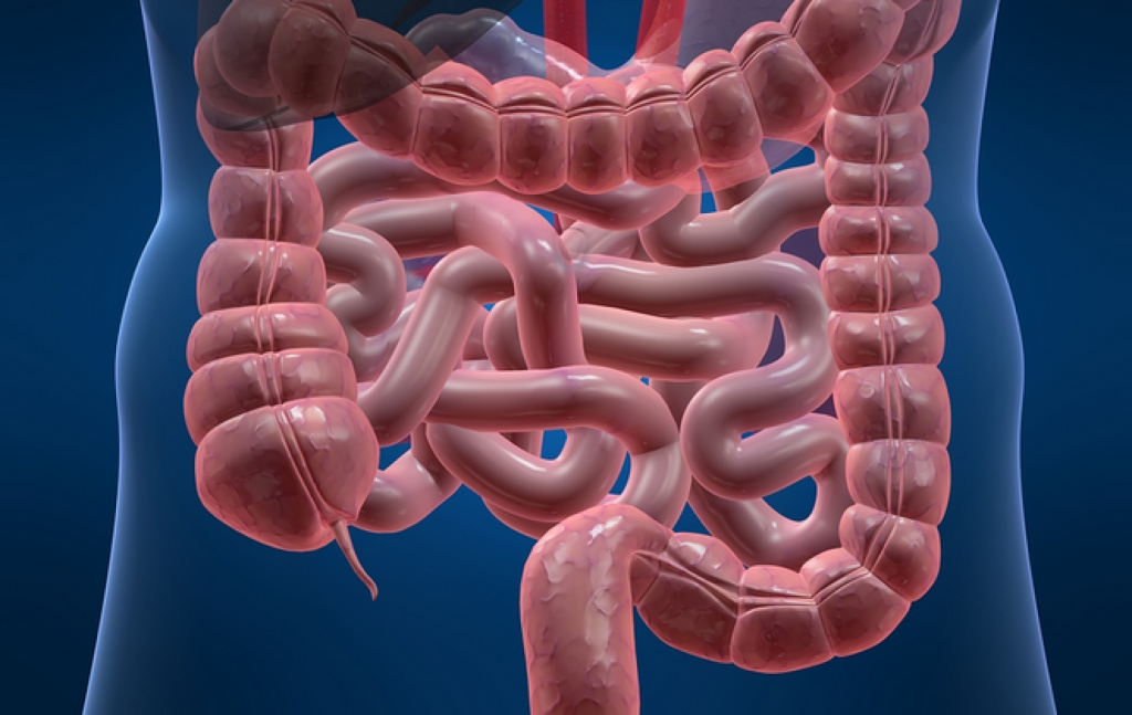 Προσοχή: Τα σημάδια που δείχνουν ότι μπορεί να έχετε παράσιτα στο έντερο