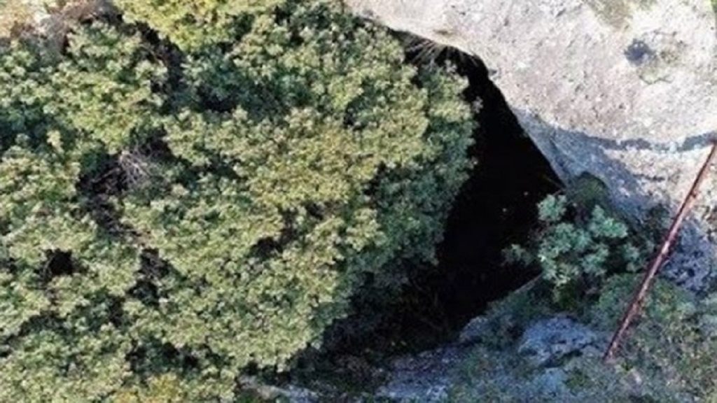 Φωλιά με… πάνθηρες σε απόσταση 45 λεπτών από το κέντρο της Αθήνας!