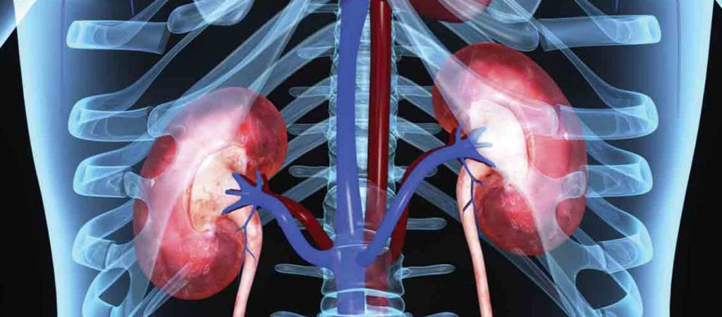 Προσοχή: Αυτές είναι οι τροφές «δηλητήριο» για τα νεφρά και βρίσκονται σε κάθε σπίτι