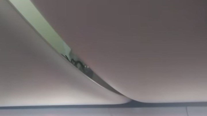 Τρόμος σε πτήση! Επιβάτες εντόπισαν σκορπιό πάνω από τα κεφάλια τους (βίντεο)