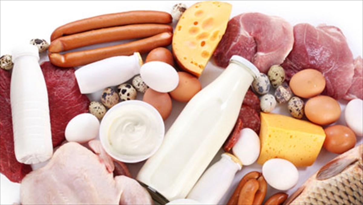 Γιατί μας κάνει κακό η διατροφή με πολλές πρωτεΐνες;
