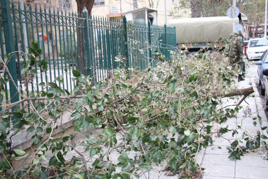 Περισσότερες από 130 κλήσεις για πεσμένα δέντρα δέχθηκε το τελευταίο 24ωρο η Πυροσβεστική