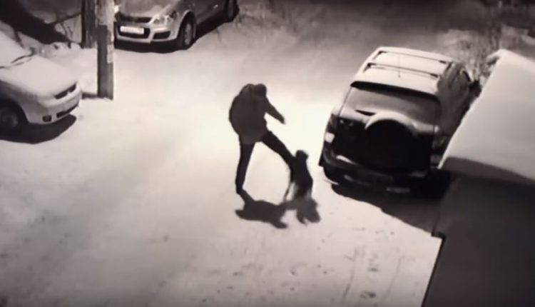Το «κάρμα» πήρε εκδίκηση – Κλώτσησε αναίτια τον σκύλο και… (βίντεο)