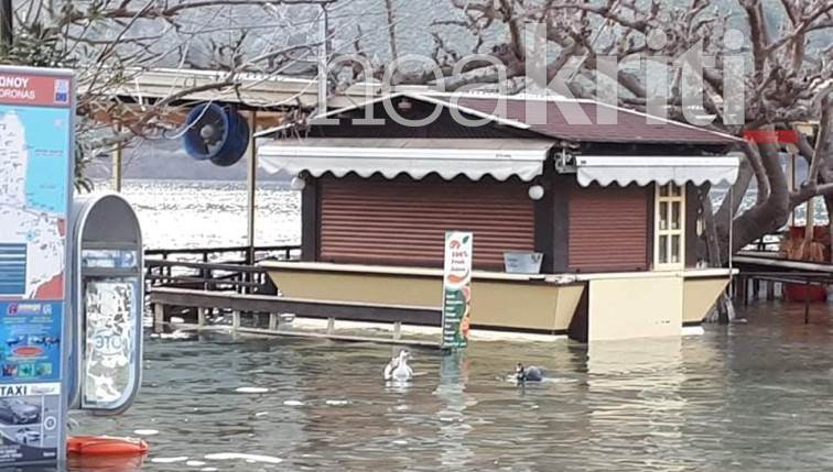 Οι πάπιες κολυμπάνε μέσα στους δρόμους των Χανίων! (βίντεο, φωτό)