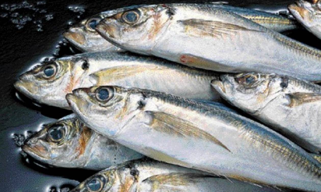 Γιατί μερικά ψάρια παράγουν ηλεκτρισμό;