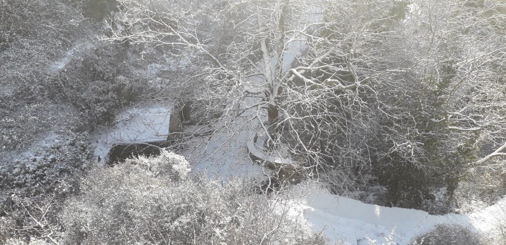 ΗΠΑ: 36χρονος αποκλείστηκε μαζί με το σκύλο του από τα χιόνια για πέντε μέρες- Επιβίωσε τρώγοντας καυτερή σάλτσα