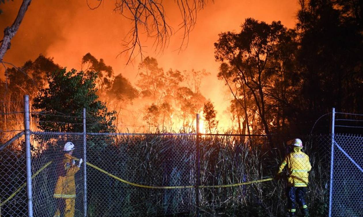 Παραδόθηκε στις φλόγες η Ν.Αυστραλία- Δύο χιλιάδες πυροσβέστες προσπαθούν να σώσουν οτι μπορούν (βίντεο)