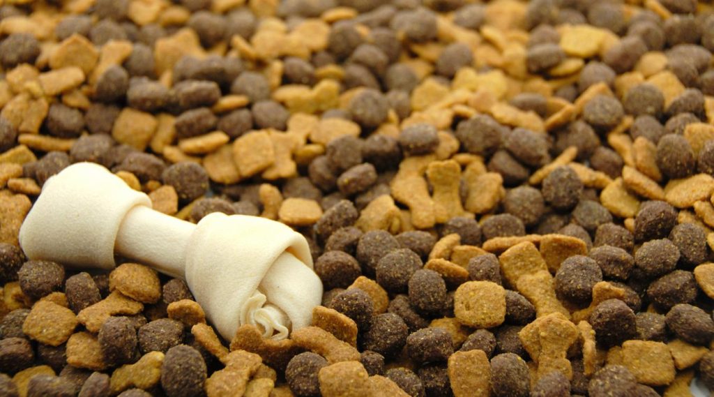 Έρευνα αποκαλύπτει ότι πολλές σκυλοτροφές με ωμό κρέας περιέχουν επικίνδυνα βακτήρια  για ζώα και ανθρώπους