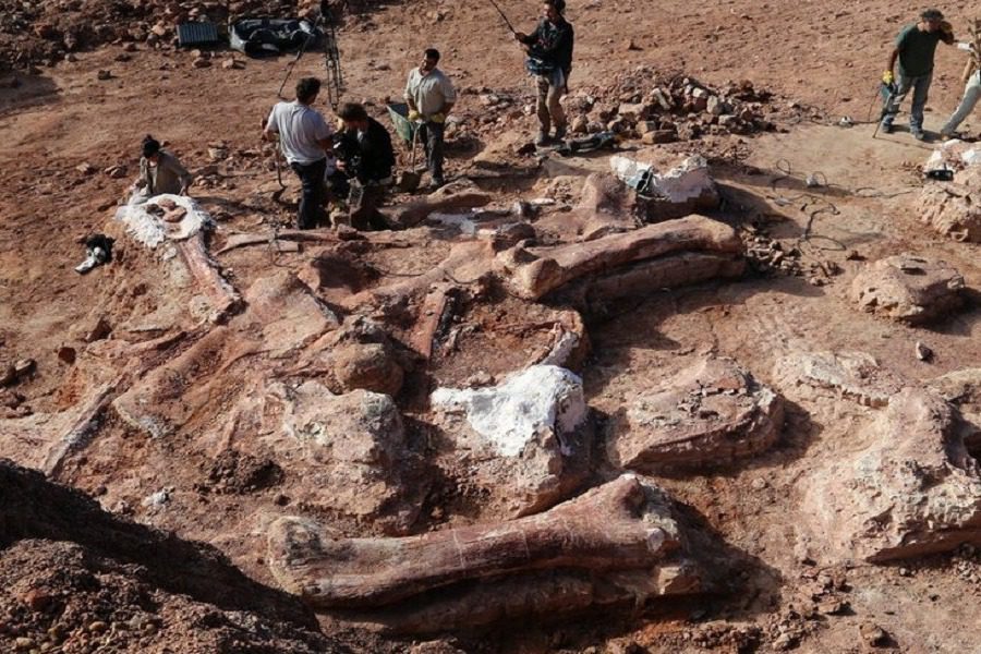 Αυτό είναι το μεγαλύτερο πλάσμα πού περπάτησε ποτέ στην γη- Είχε ύψος 14 μέτρα (βίντεο)