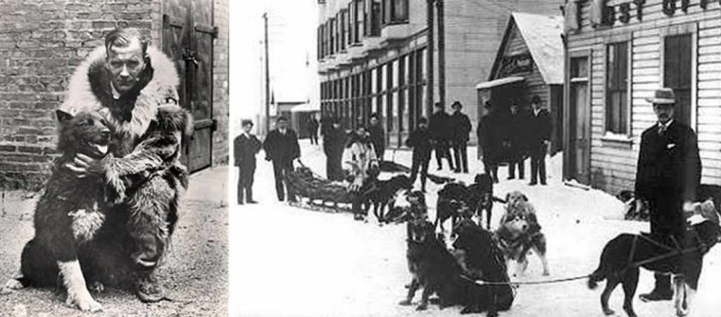 Μπάλτο: Ο σκύλος που αψήφησε τα πάντα και έσωσε μια ολόκληρη πόλη της Αλάσκας το 1925 (φωτό)