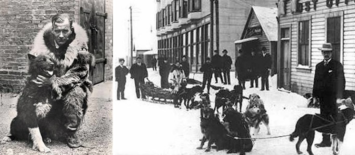 Μπάλτο: Ο σκύλος που αψήφησε τα πάντα και έσωσε μια ολόκληρη πόλη της Αλάσκας το 1925 (φωτό)