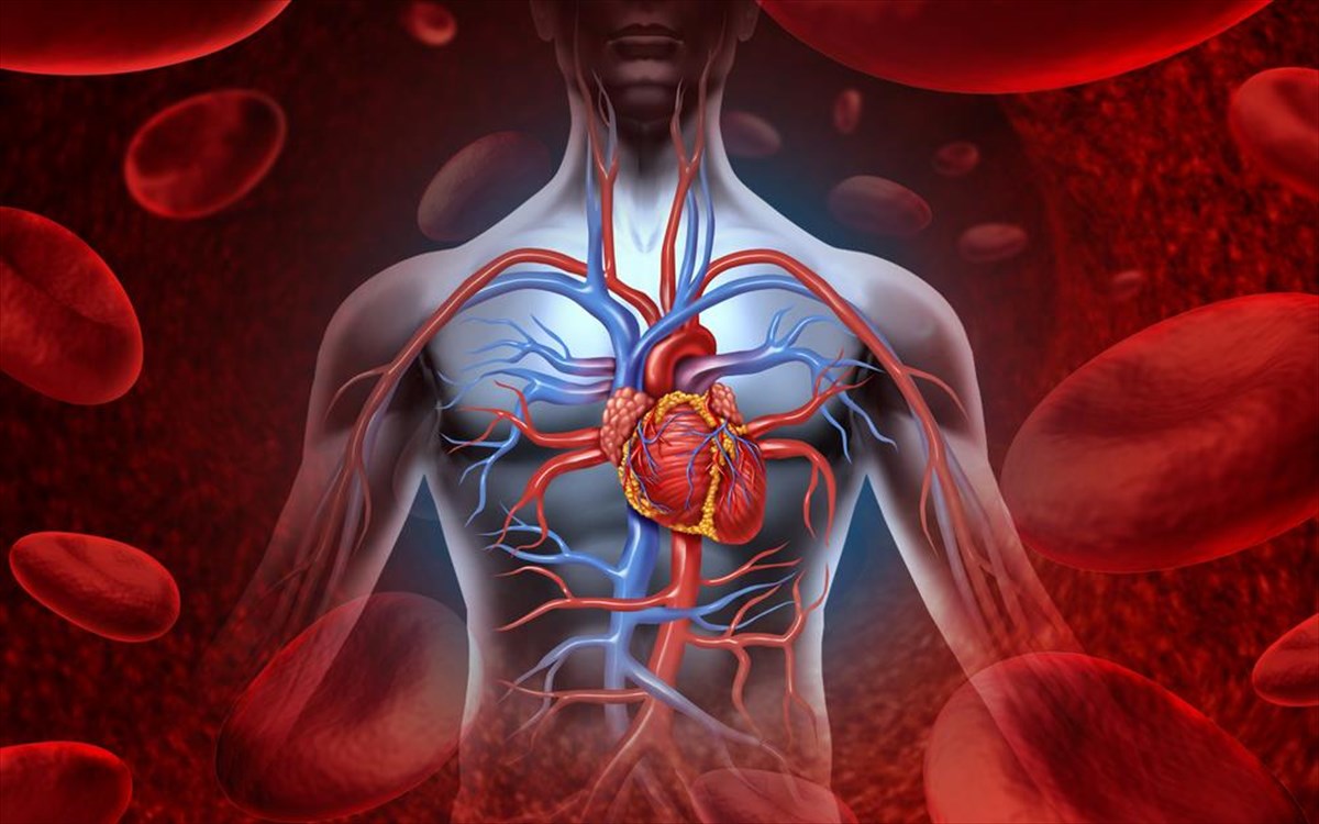 Το μισό σώμα του ανθρώπου δεν είναι… ανθρώπινο- Δεν θα πιστεύετε τι κρύβουμε μέσα μας