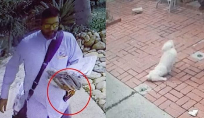 Κτηνωδία: Ταχυδρόμος ρίχνει σπρέι πιπεριού σε σκύλο και το ζώο σφαδάζει από τον πόνο (βίντεο)