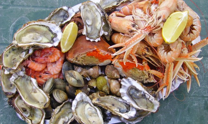 Πώς να ξεχωρίσετε τα φρέσκα θαλασσινά – Τι να κάνετε σε περίπωση δηλητηρίασης