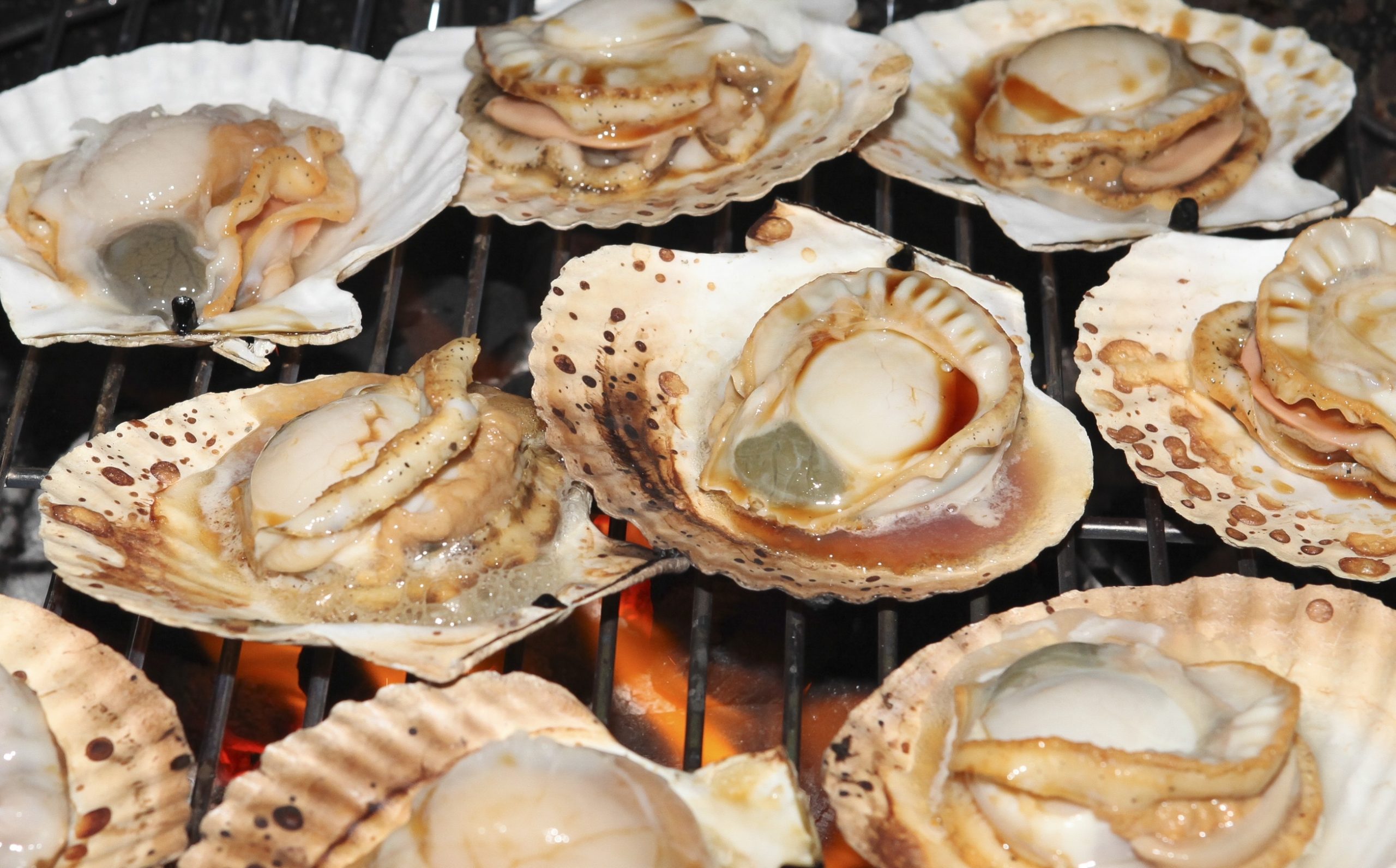 Πότε τα ψάρια και τα θαλασσινά κάνουν κακό στην υγεία;