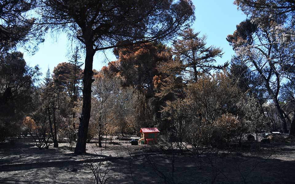 Υποπλοίαρχος Λ.Σ. Δ.Μπαλτάκος: «Χειροπιαστές λύσεις»