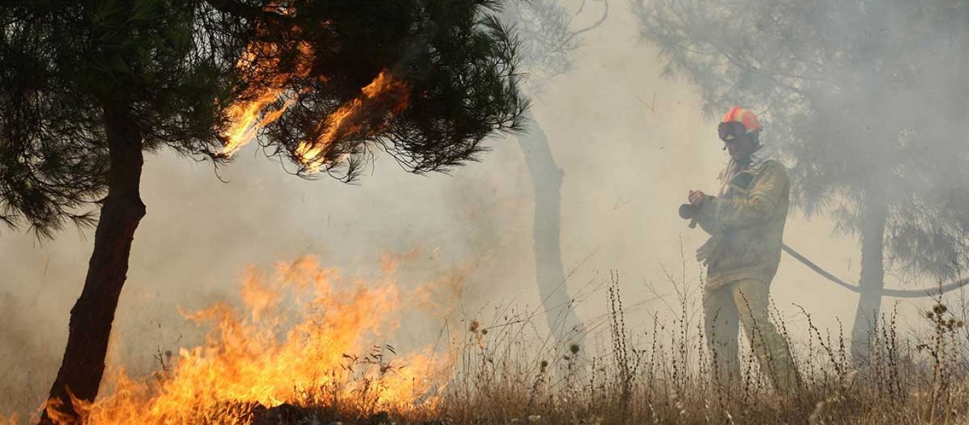 Πρώην υπαρχηγός της πυροσβεστικής: «Οι αλλαγές στον Ποινικό Κώδικα θα φέρουν περισσότερες πυρκαγιές»