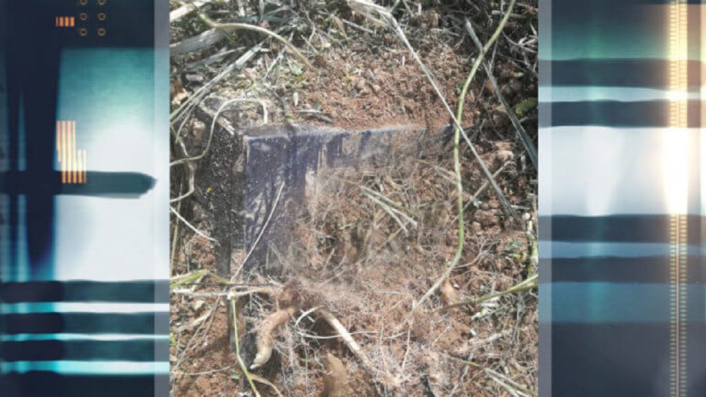 Γυναίκα βρέθηκε θαμμένη… όρθια μέσα σε πλαστικό φέρετρο στο Γ΄ Νεκροταφείο!