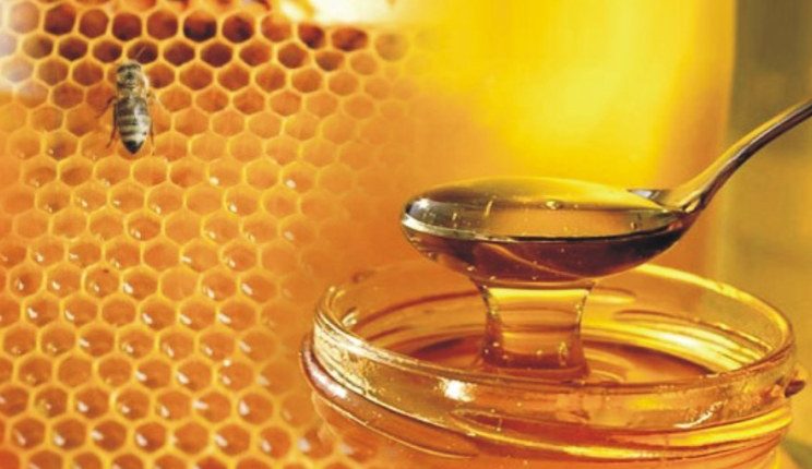 Έρευνα του Α.Π.Θ. εξέτασε 48 διαφορετικά μέλια – Δείτε ποιο είναι το καλύτερο για την υγεία!