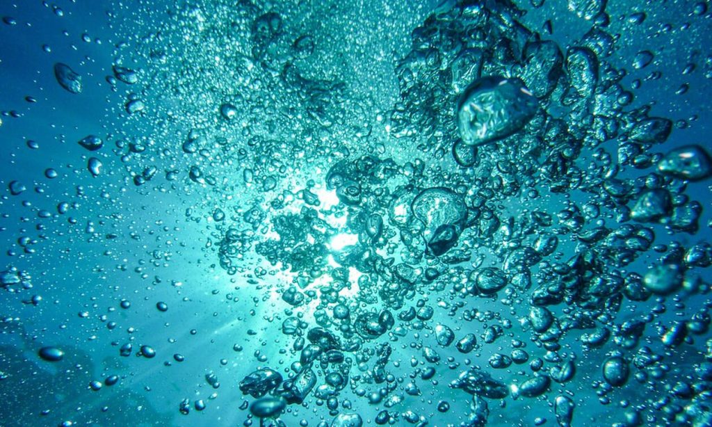 Ο «φονιάς του νερού»: Το μυστηριώδες και τρομακτικό πλάσμα που αναστάτωσε τη λίμνη (φώτο)