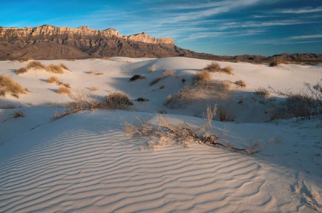 Πεντάχρονος πέρασε 24 ώρες στην έρημο – Βρέθηκε σώος και αβλαβής