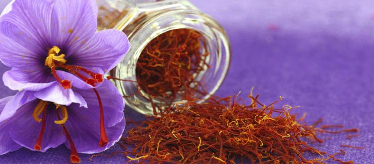 Οι 14 υπερτροφές που «βγάζει» η ελληνική γη!