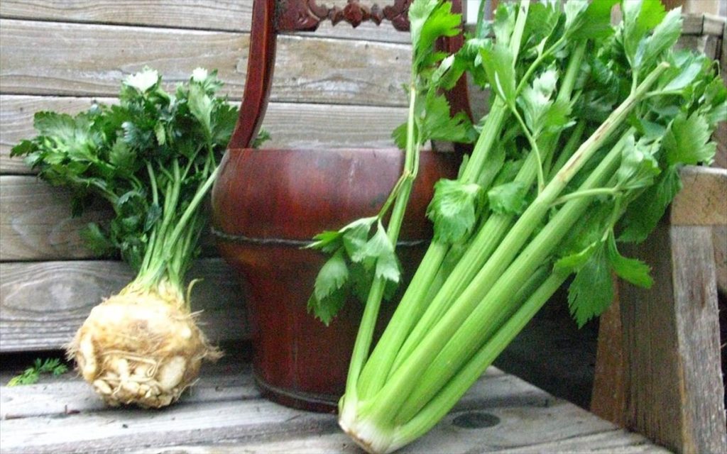 Σελινόριζα: Η «άσχημη» αντικαρκινική υπερτροφή με τα πολλά οφέλη (βίντεο)