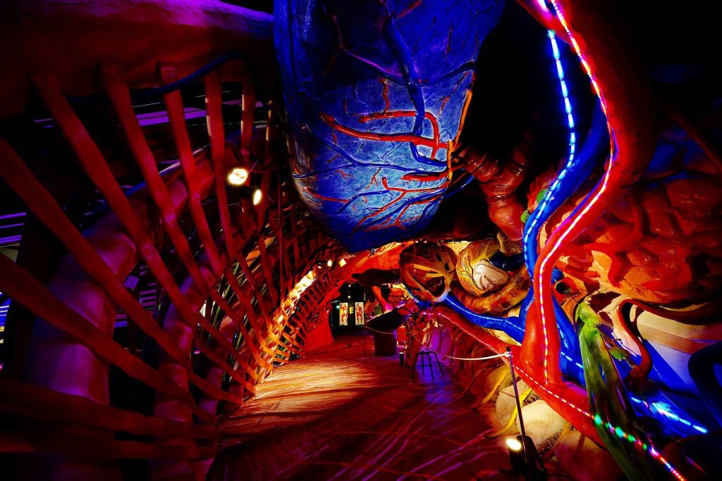 The “Human Body” Museum – Το ελληνικό μουσείο που σε «ταξιδεύει» στη μαγεία του ανθρώπινου σώματος (φώτο-βίντεο)