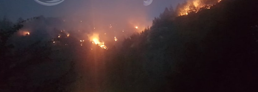 Ολονύχτια μάχη με τις φλόγες στη Λέσβο – Αγωνιούν οι κάτοικοι (βίντεο)