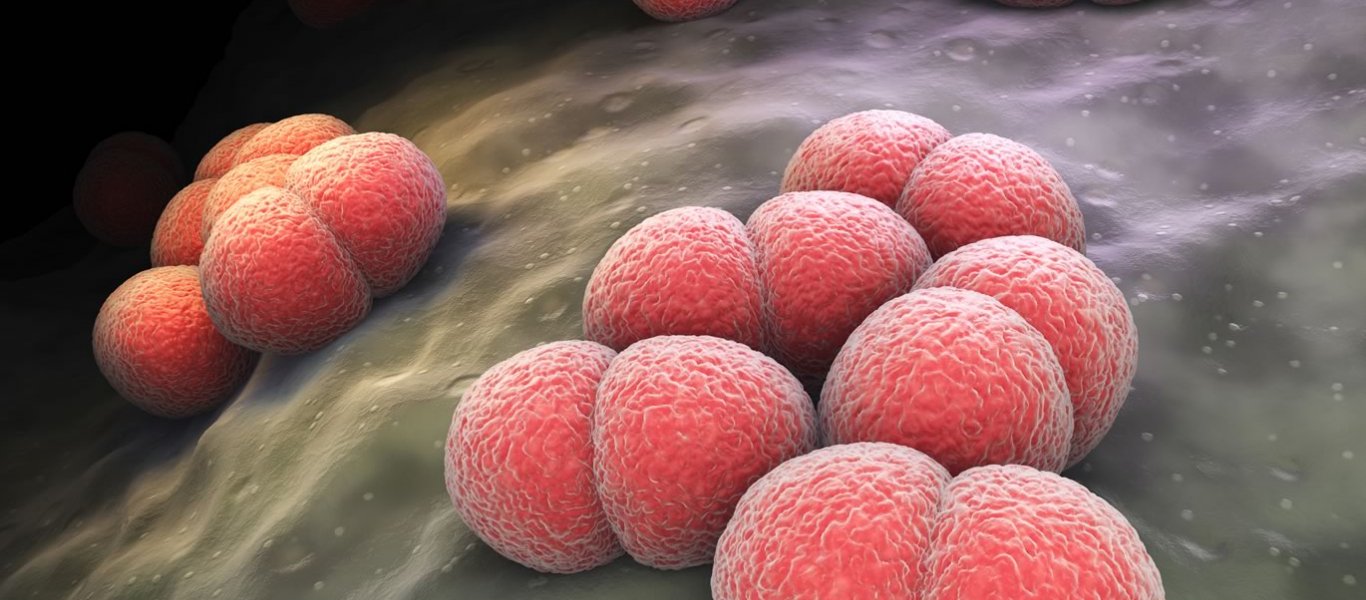 Μηνιγγίτιδα: Τι είναι και πώς αντιμετωπίζεται